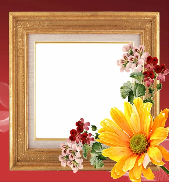 Aangepaste afbeeldingsframe — Stockfoto