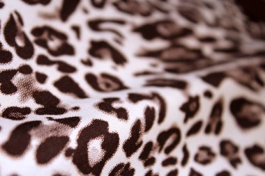 Jaguar bez arka plan