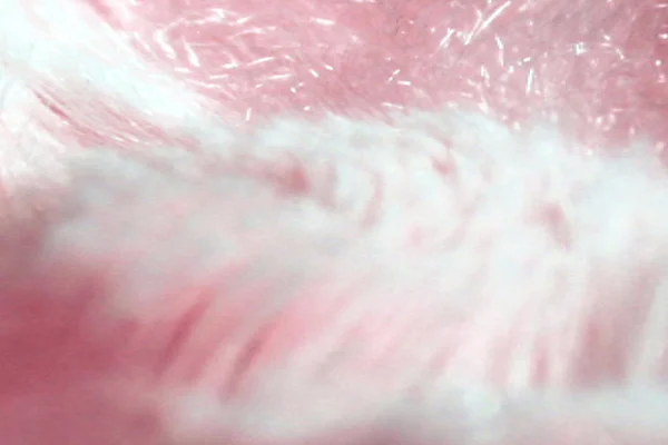 Růžový srst tkaniny — Stock fotografie