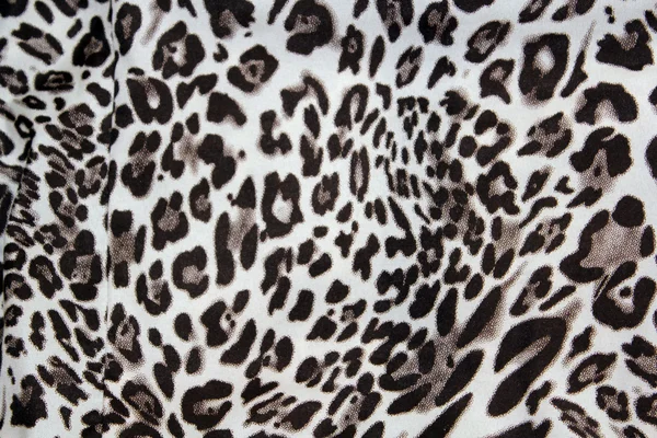 Cheetah pano de fundo — Fotografia de Stock