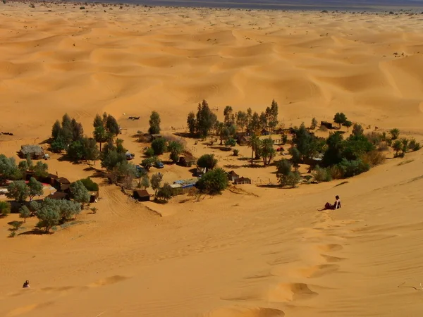 Oáza v poušti er-chebbi — Stock fotografie