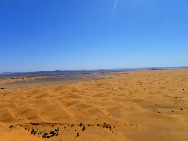 Er-African Desert Oasis. — Stockfoto