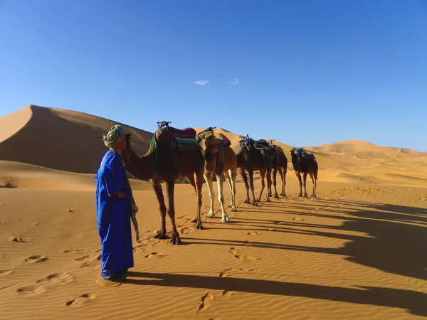 Afrika, de woestijn van Translator-chebbi