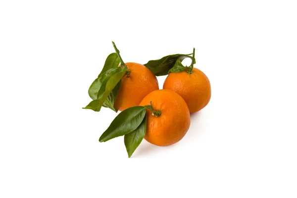 Три мандарины вкусные и сочные с листьями — стоковое фото