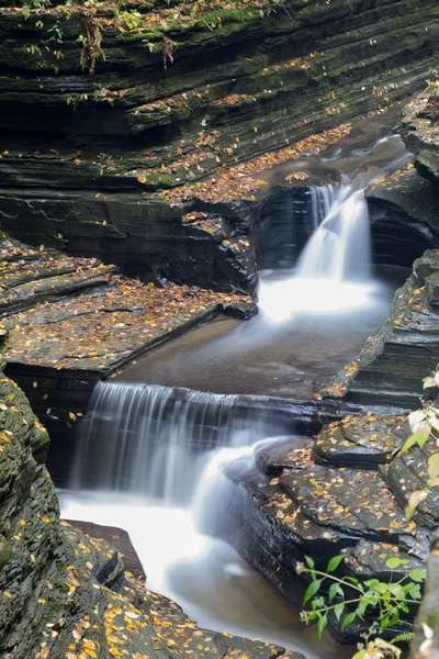 Schöne Wasserfall-Kaskade und Falllaub — Stockfoto