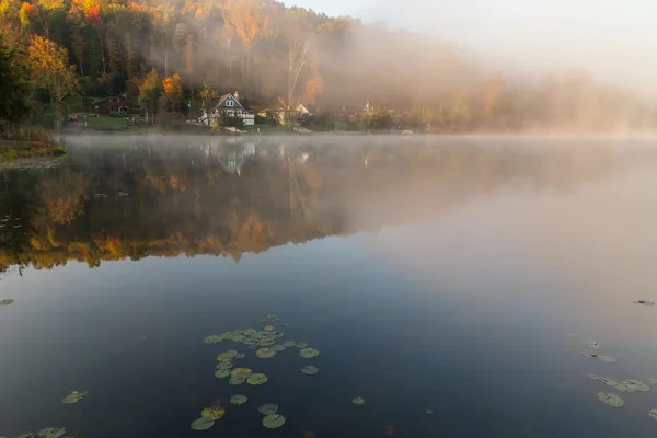 Mistige ochtend op de rots lake, de mist en de herfst bladeren bij zonsopgang — Stockfoto
