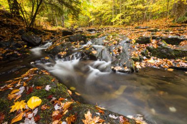 güzel şelale çağlayan ve yeşillik düşmek