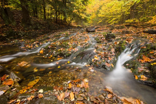 Красивий водоспад каскад і осіннє листя — стокове фото