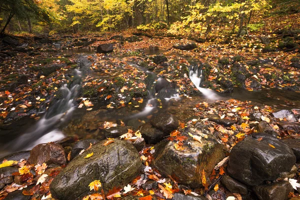 Hermosa cascada cascada y follaje caída — Foto de Stock