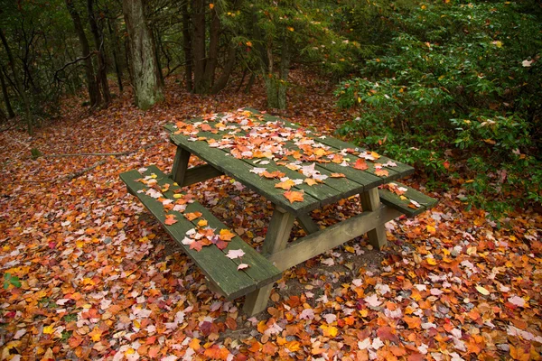 Picnic area during fall season with red maple leaves on the table — Stock Photo, Image