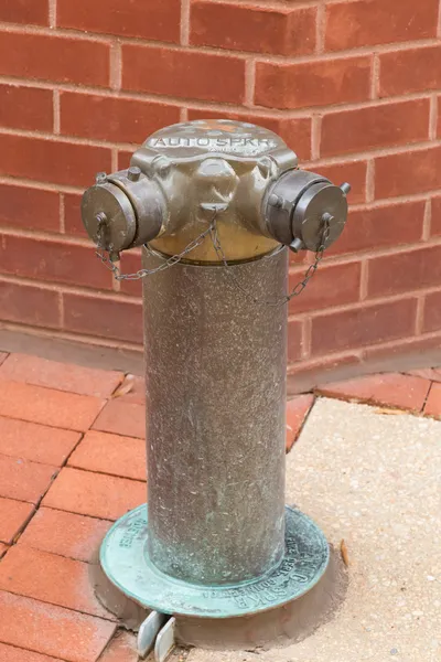Feuerwehrhydrant — Stockfoto