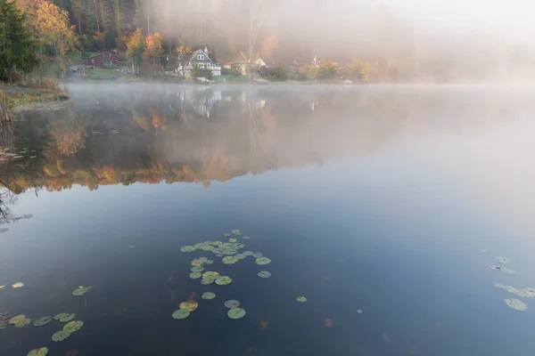 Mistige ochtend op de rots lake, west virginia — Stockfoto