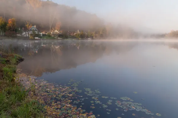 Mistige ochtend op de rots lake, west virginia — Stockfoto