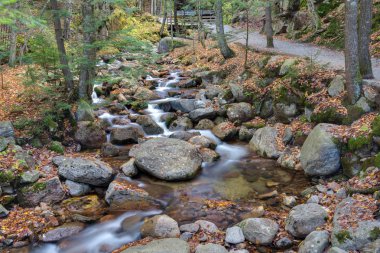 Franconia notch state park, new hampshire, ABD
