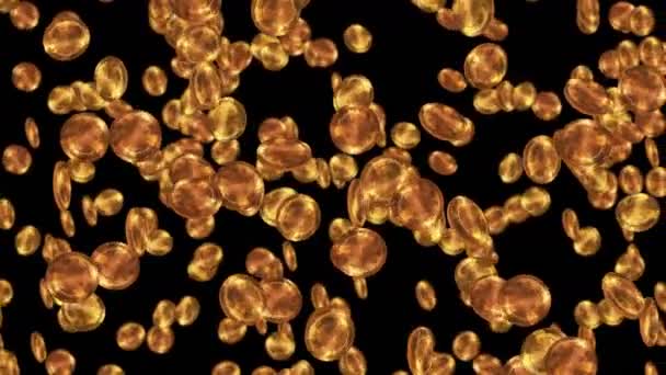 金色的古钱币在黑色的背景上飘扬 财宝中的金币 业务增长概念 循环动画 — 图库视频影像