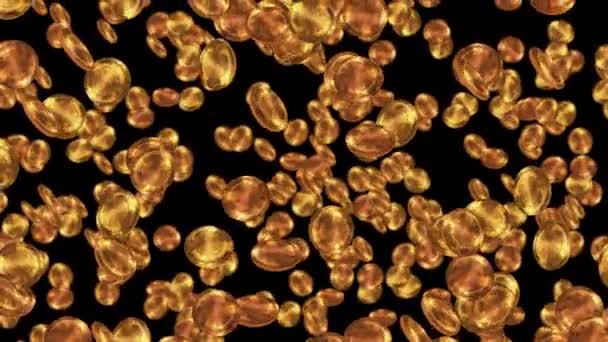 Золотые Старинные Монеты Плавающие Воздухе Черном Фоне Золотая Монета Сокровище — стоковое видео