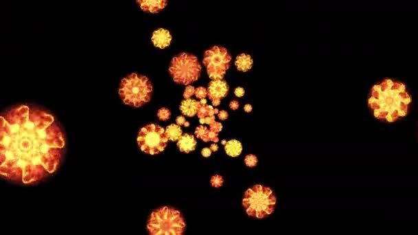 Fire Flower Floating Air Black Background Shape Abstract Flower Bright — Stockvideo