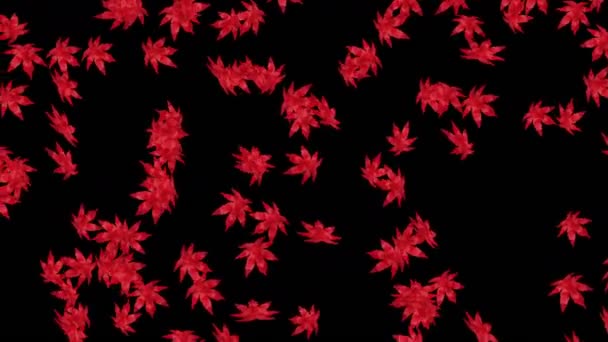 Many Red Autumn Leaves Floating Air Black Background Low Polygonal — Stockvideo