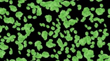 Siyah arka planda havada yüzen birçok yeşil yaprak var. Düşük çokgen bitki. Dijital teknolojinin sembolü. Soyut döngü canlandırması.