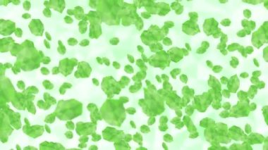 Beyaz arka planda havada yüzen birçok yeşil yaprak. Düşük çokgen bitki. Dijital teknolojinin sembolü. Soyut döngü canlandırması.