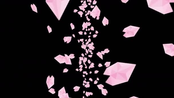 Many Cherry Blossom Petals Floating Air Black Background Low Polygonal — Stock Video