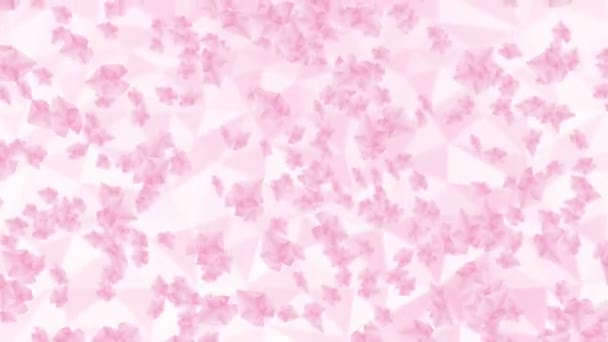 Beaucoup Pétales Fleurs Cerisier Flottant Dans Air Sur Fond Blanc — Video