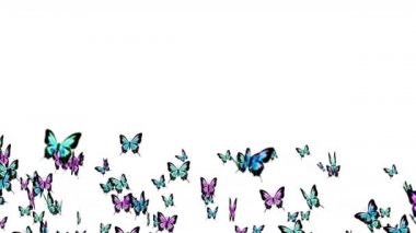 Birçok renkli kelebek beyaz arka planda havada uçuyor. Doğa konsepti. Kelebek kanat çırpıyor. Böceklerin tasviri. Döngü canlandırması.