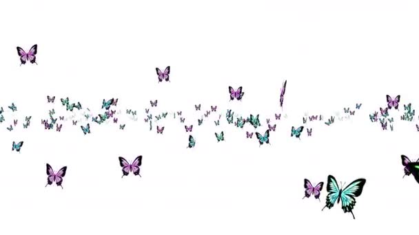 Många Färgglada Fjärilar Flyger Luften Vit Bakgrund Naturbegreppet Fjärilen Flaxar — Stockvideo