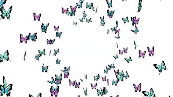 Muchas Mariposas Colores Volando Aire Sobre Fondo Blanco Concepto Naturaleza — Vídeos de Stock