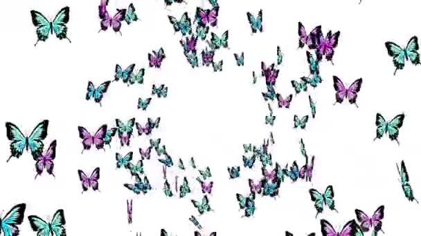 Muchas Mariposas Colores Volando Aire Sobre Fondo Blanco Concepto Naturaleza — Vídeos de Stock