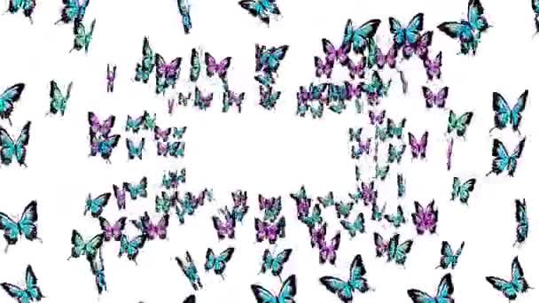 许多五彩斑斓的蝴蝶在白色的背景上在空中飞翔 自然概念 蝴蝶拍打翅膀昆虫图解 循环动画 — 图库视频影像