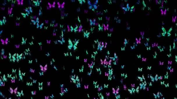 Veel Kleurrijke Vlinders Vliegen Lucht Zwarte Achtergrond Natuurconcept Vlinderflapperen Illustratie — Stockvideo