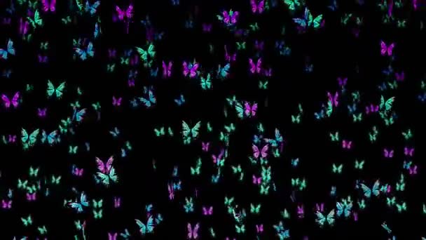Viele Bunte Schmetterlinge Fliegen Der Luft Auf Schwarzem Hintergrund Naturkonzept — Stockvideo