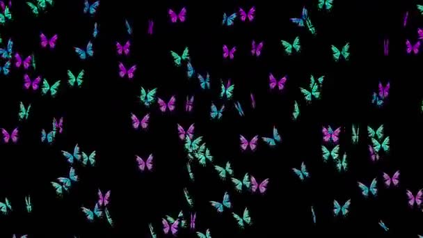 Beaucoup Papillons Colorés Volent Dans Air Sur Fond Noir Concept — Video