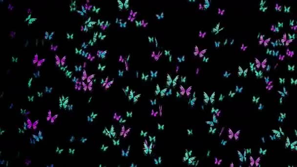 黒の背景に空気中を飛ぶ多くのカラフルな蝶 自然概念 蝶の羽ばたき 昆虫のイラスト ループアニメーション — ストック動画