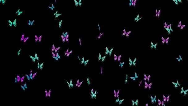 Muchas Mariposas Colores Volando Aire Sobre Fondo Negro Concepto Naturaleza — Vídeos de Stock