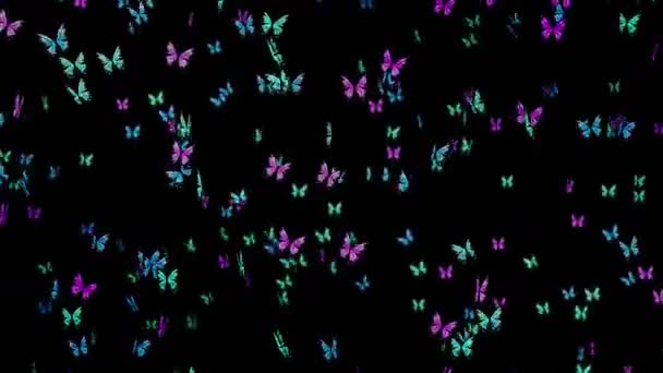 Beaucoup Papillons Colorés Volent Dans Air Sur Fond Noir Concept — Video