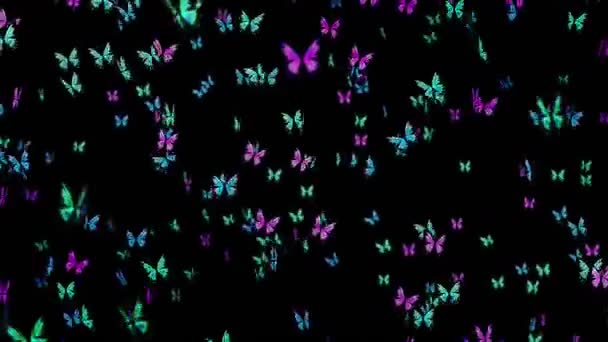 Beaucoup Papillons Colorés Volent Dans Air Sur Fond Noir Concept — Video