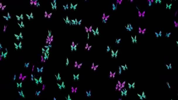 Viele Bunte Schmetterlinge Fliegen Der Luft Auf Schwarzem Hintergrund Naturkonzept — Stockvideo