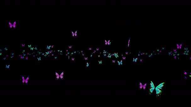 Many Colorful Butterflies Flying Air Black Background Nature Concept Butterfly — Stock Video