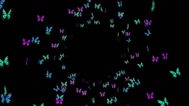 Многие Красочные Бабочки Летят Воздухе Черном Фоне Концепция Природы Хлопает — стоковое видео