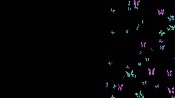 许多五彩斑斓的蝴蝶在黑色的背景上在空中飞翔 自然概念 蝴蝶拍打翅膀昆虫图解 循环动画 — 图库视频影像