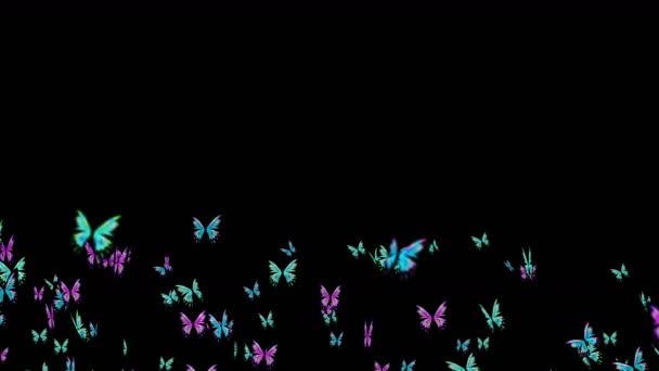 Birçok Renkli Kelebek Siyah Arka Planda Havada Uçuyor Doğa Konsepti — Stok video
