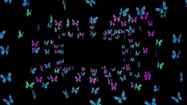 Muchas Mariposas Colores Volando Aire Sobre Fondo Negro Concepto Naturaleza — Vídeos de Stock