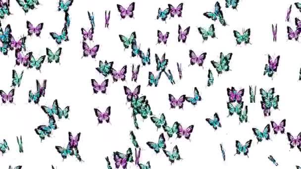 Muchas Mariposas Colores Volando Aire Sobre Fondo Blanco Concepto Naturaleza — Vídeo de stock