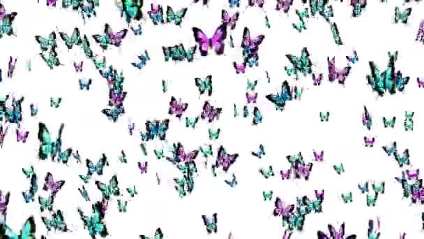 多くのカラフルな蝶の空気中で白い背景に飛んでいる 自然概念 蝶の羽ばたき 昆虫のイラスト ループアニメーション — ストック動画