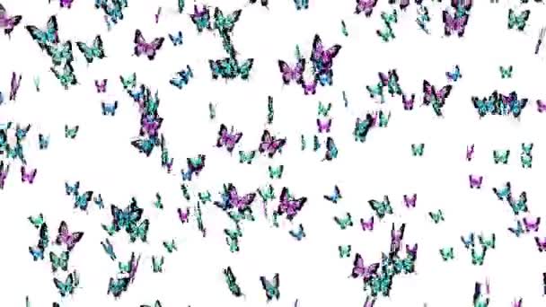 Muchas Mariposas Colores Volando Aire Sobre Fondo Blanco Concepto Naturaleza — Vídeo de stock