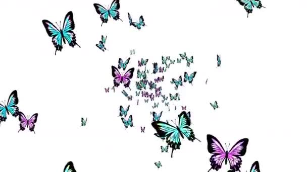 Muchas Mariposas Colores Volando Aire Sobre Fondo Blanco Concepto Naturaleza — Vídeo de stock