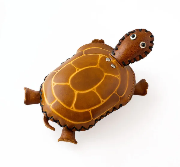Lederschildkröte — Stockfoto