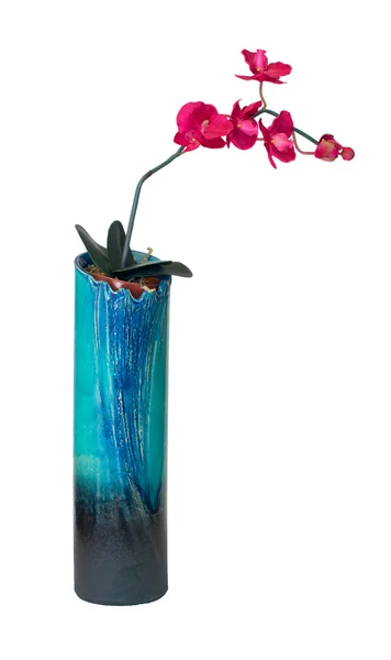 Vase mit Blume — Stockfoto